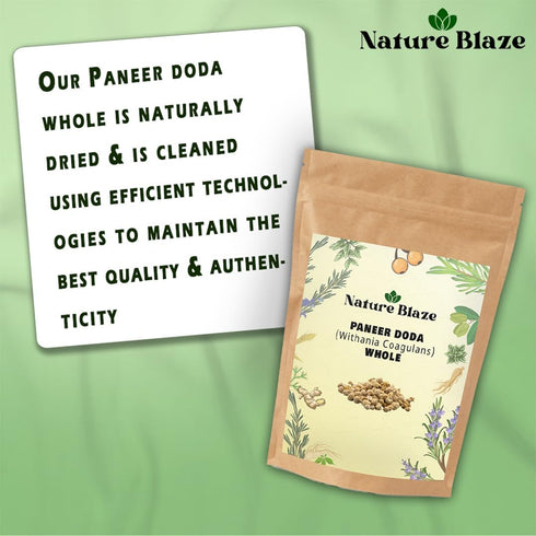 (1kg) Ayurvedic Herbal Indian Rennet | Paneer Doda | Paneer ka Phool | Whole Withania Coagulans