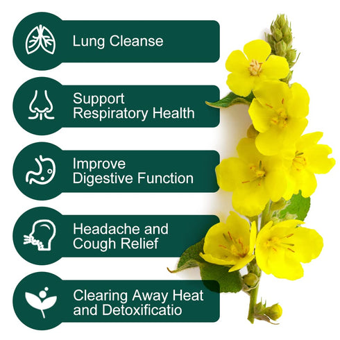 30 Mullein Leaf Tea Bags - Lungs Cleanse and Respiratory Support, Herbal Teas, Caffeine Free, Tea Bags