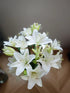Cassiolina 10) Fresh Cut Asiatic Lily Flowers Elegant Lily Bouquet for Vase Home Decor Wedding Party Floral Arrangement