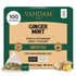 VAHDAM, Ginger Mint Green Tea Bags (100 Count) High Grown Green Tea