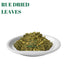 Gabio Green (8 RUE Dried Herbs Ruda Seca, Ruda Graveolens, rue leaves and branches Dried Rue Leaves (Ruta graveolens) |
