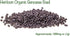 Organic Basil Seeds - Genovese - Ocimum basilicum - 1550+mg, 860+ Herb Seeds for Indoor or Outdoor Growing