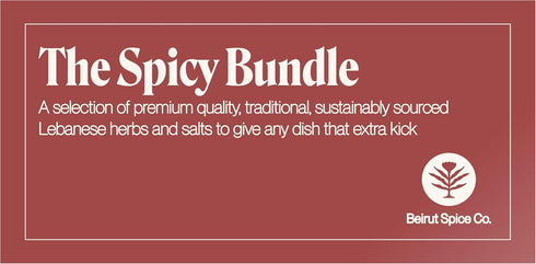 Aleppo Pepper, Mediterranean Herb Sea Salt & Spicy Za'atar Bundle - Beirut Spice Co