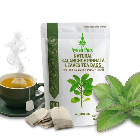 Generic 100 Tea Bag Kalanchoe Pinnata Powder Healthy Pure Leaves Powder Tea Bag