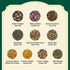 (20 40 Set VAHDAM, Assorted Tea Sampler Delicious Variety, Individually Wrapped Pyramid Teabags) Long Leaf Premium Teas