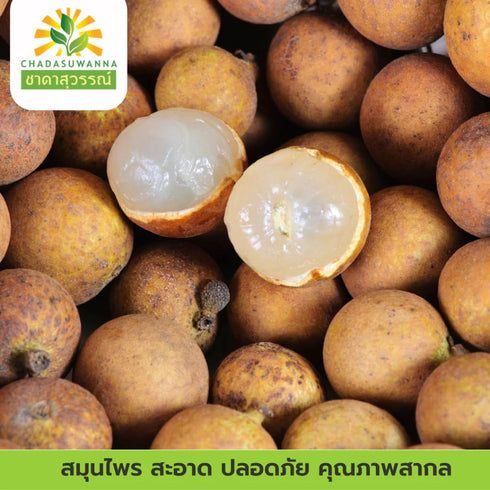 Generic (500g) Golden Dried Longan Pitted Whole Dried Fruit, Shelled Longan Meat for Snacks, Tea, and Soups