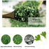 TEAERPKLAE 2.82/80minced Dried Chopped Green Onions onions driedchives seasoningscallions chopped Gourmet Spring Green