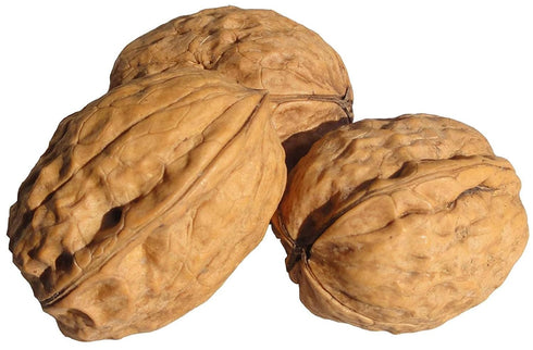 (1 Lbs.) 3 In Shell Walnuts - Large Natural California Walnuts - Great Source of Omega - Fresh New Crop - Bursting