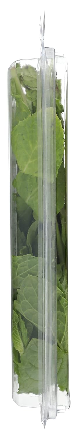 Fresh Produce 0.75 Herb Mint Organic, Ounce