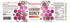 HoneyGramz 3 Pack 5.5 oz Packed Organic Elderberry Honey - Raw and Kosher Creamed Honey and Organic Elderberry in a