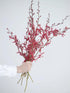 10 Stems of Fresh Red Ascocenda Orchids - Elegant Gift Flowers