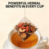 Gerduck Dates,6g 30 Dandelion Root & Goji Berry Tea with Jujube x Teabags-Organic Dandelion Detox Tea, Premium Natural
