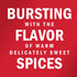 1.12 oz (Pack 6) McCormick Apple Pie Spice
