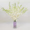 Athenas Garden Fresh Cut White Orchids 10 Stems Dendrobium Orchids Flowers with