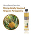 300ml (10 oz) NONGBU PLUS Korean Fermented Pineapple Vinegar Juice, Salad Dressing, and Cooking Vinegar