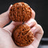 ENFGDT 1.7in Set, Natural Chinese Wenwan Walnut, Chinese Walnuts Fidget, Premium Wenwan Walnut Care Brush Meaningful