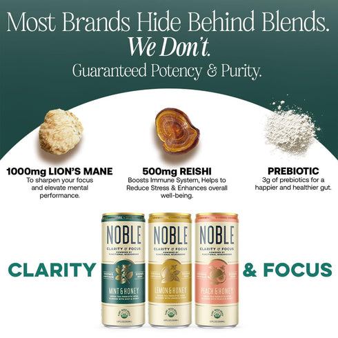12 OZ., 12 Pack Noble Elixirs Mint & Honey Prebiotic Soda, All-Natural Nootropic Drink with USDA Organic Lions Mane