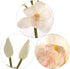 2 Pack 30" 10 2 Silk Cymbidium Orchid Stem - White, Long with Flowers and Buds for Weddings, Home Decor, and DIY