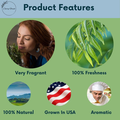 Leaves-100% 3 oz Curry Forest Fresh Curry Natural & Pesticide-Free, Grown in Phoenix USA, Hand-Picked for Authentic