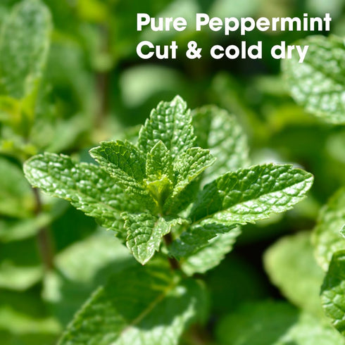 TFATHER Peppermint (Mint) Tea Bags Pyramid with String - Strong Taste of Menthol - Premium Peppermint Leaves (Mentha
