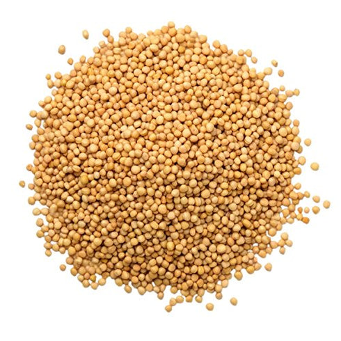 1 Food to Live Yellow Mustard Seeds, Pound - Whole Spice, Vegan, Kosher, Bulk. Spicy, Pungent Flavor. Rich in Selenium