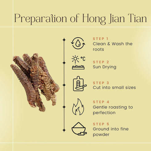 1 Golden Root | Hong Jing Tian | Rhodiola Rosea Herb (Whole Root) Herb Tea, Pound - Plum Dragon Herbs