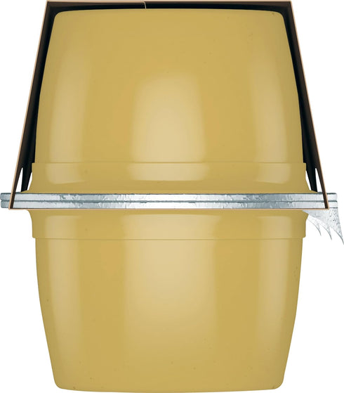 6 4oz (Pack 1) Santa Cruz Organic Apple Sauce Cups, x