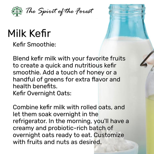 Milk Kefir Live Grains - Live Active Starter Cultures Scoby For Homemade Probiotic Drink For Almond, Coconut Kefir