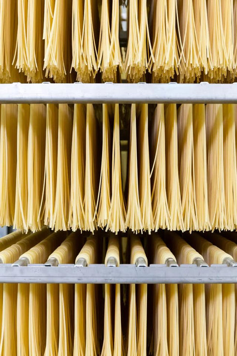 (500g) Zia Pia Organic Pasta - Fettuccine | Traditional Italian Pasta | Small Batch Organic | Made in Italy |