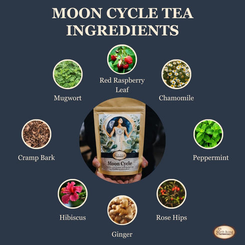 30 Birth Song Botanicals Organic Moon Cycle Menstrual Tea for Women, Herbal Period Cramp & PMS Relief, Hormone Balance