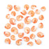 7 (Pack 6) Roland Picnic Shrimp, Ounce