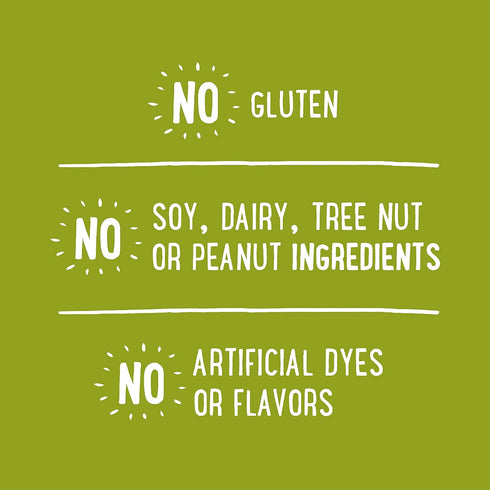 12 Udis Gluten Free Foods Whole Grain Bread, Ounce
