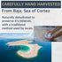 8 oz 72+ 30% All Goods Products Mineral Coarse Grain Sea Salt, Natural Salt from Mexico, Unrefined, Hand-Harvested