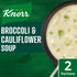 51g (1.79oz), Pack 3, Knorr Gourmet Broccoli & Cauliflower Soup Mix, of Irish recipe