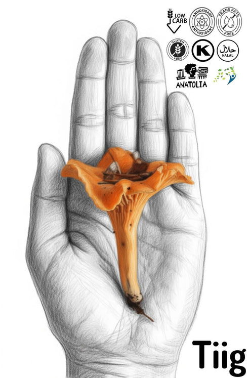 100 3.5 oz) Whole Dried Golden Chanterelle Mushrooms (Cantharellus cibarius) g ( | Premium Wild-Harvested, Air-Dried |