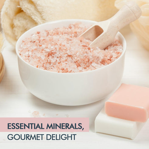 Pack 6 84+ (4.2 oz, 119.1 Pride Of India - of - Pure Himalayan Pink Salt - Enriched w/ Natural Minerals, Medium Grind