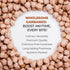 10mm 1.5 Pride Of India - Indian Whole White Garbanzo Beans - Protein & Fiber Rich Kabuli Chana, Pound Jar