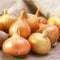 Generic Organic fresh yellow onions fresh produce Vegetable 10 Lbs