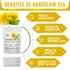 30 Organic Dandelion Leaf & Root Tea, Supports Kidney Function and Healthy Digestion, Caffeine Free, Tea Bags