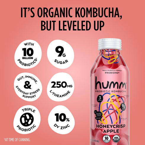 HUMM 16 KOMBUCHA Organic Honeycrisp Probiome Kombucha, FZ