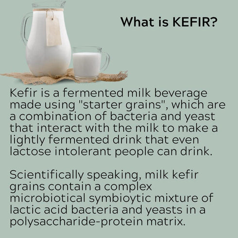 Milk Kefir Live Grains - Live Active Starter Cultures Scoby For Homemade Probiotic Drink For Almond, Coconut Kefir