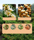 MOORCHOCO 17.64 Oz Natural Dried Longan Fruit, No Sugar Added, Premium Selected