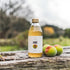 8.45 (Pack 12) KIMINO DRINKS Sparlking Ume Juice, FZ