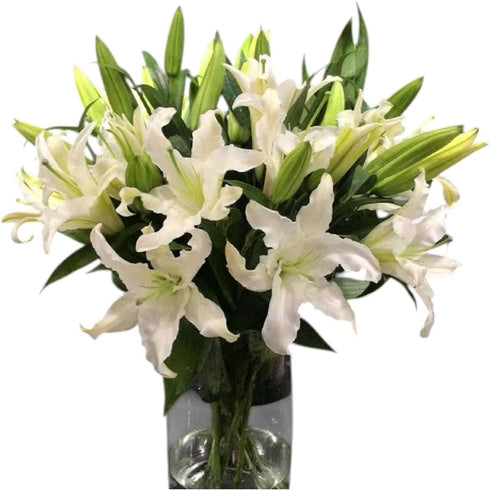 Cassiolina 0 Stems Fresh Oriental Lily Flowers Fragrant Lily Bouquet for Vase Home