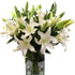 Cassiolina 0 Stems Fresh Oriental Lily Flowers Fragrant Lily Bouquet for Vase Home