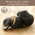 8.8 oz 250 (2 Pack) Morelli Truffle Tagliolini Italian Pasta - Gourmet Organic Pasta Noodles Handmade in Small Batches