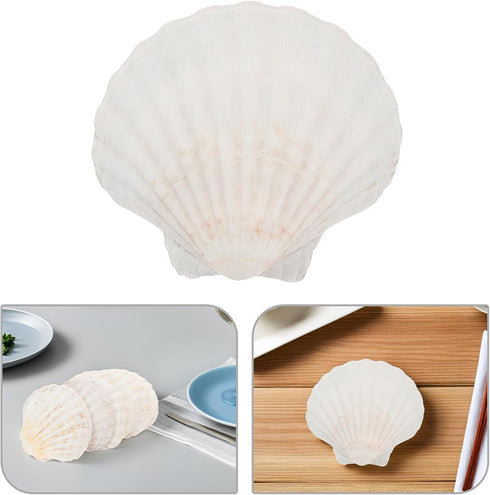 20pcs 10-12cm Set Luxshiny Natural Scallop Shells for Baking and Serving Food, Seashell Plates for Bbq Cooking