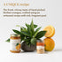 12.7 oz Agrisicilia Sicilian Orange Marmalade Authentic Italian Citrus Jam with Fruit Peel, Made in Sicily, Glass Jar