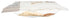 80 (Pack 1) One Degree Organics Sprouted Whole Wheat Flour, Glyphosate-Free, USDA Organic, Whole Grain, High Fiber