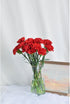38 Red Carnation Flowers Hydroponic Flower Arrangement Mothers Day Gift Home Decor Birthday Anniversary Healing